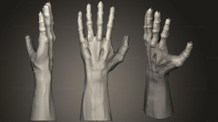 Анатомия скелеты и черепа (Рука Славы, ANTM_0614) 3D модель для ЧПУ станка
